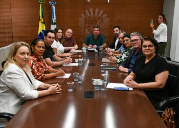 Reunião para marcar reunião: Riedel diz que dados de violência contra mulher são alarmantes; tá mas e aí?