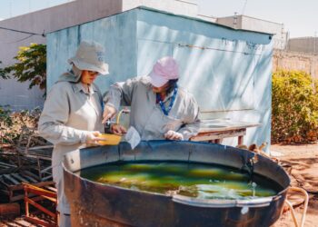 Sesau realiza reunião técnica para discutir estratégias de combate à dengue e outras doenças em Campo Grande