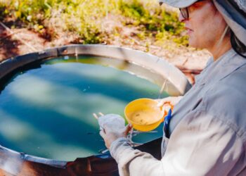 Com mais de 500 notificações, ações de combate à dengue são reforçadas