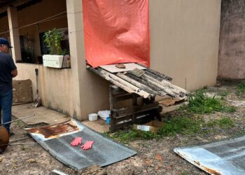 Denúncia de maus-tratos a animal em Três Lagoas leva à intervenção da Polícia Civil