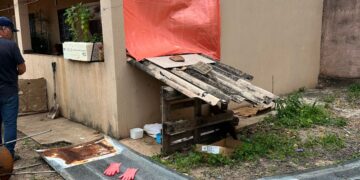 Denúncia de maus-tratos a animal em Três Lagoas leva à intervenção da Polícia Civil