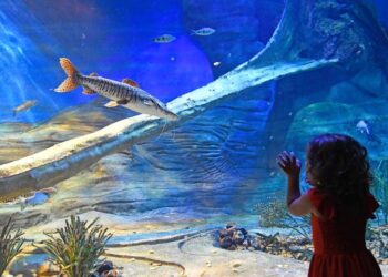 Bioparque Pantanal terá horários especiais de atendimento no Carnaval