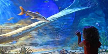 Bioparque Pantanal terá horários especiais de atendimento no Carnaval