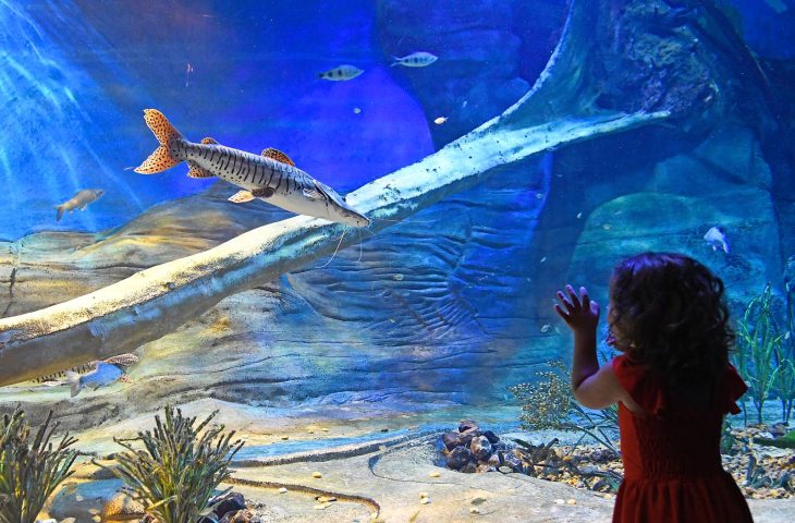 Bioparque Pantanal terá horários especiais de atendimento no Carnaval