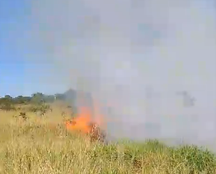 Incêndio em pasto próximo a BR-163 ameaça usina solar e fumaça invade rodovia