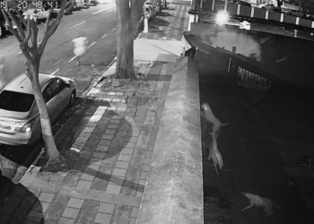 Câmera flagrou briga entre flanelinha que morreu e autor de facadas próximo à igreja