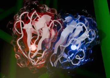 Nova enzima capaz de quebrar a celulose deve revolucionar biocombustíveis