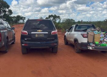 Operação do DOF intercepta grande carga de produtos ilícitos e prende casal