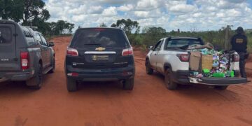 Operação do DOF intercepta grande carga de produtos ilícitos e prende casal