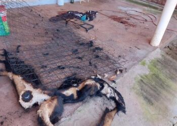 Jovem é resgatado de casa em chamas por vizinho e Corpo de Bombeiros em Bataguassu