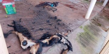 Jovem é resgatado de casa em chamas por vizinho e Corpo de Bombeiros em Bataguassu