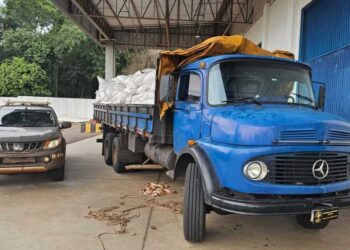 Caminhoneiro é preso em Tacuru transportando quase uma tonelada de agrotóxicos contrabandeados