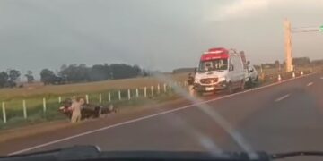 Capotamento na BR-262 em Terenos deixa mulher ferida