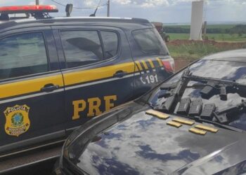 PRF apreende três fuzis e munições em Ponta Porã-MS; casal é preso