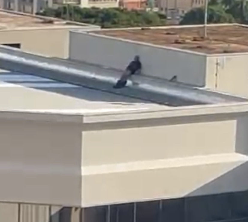 Flagrado se masturbando no teto do Fórum fazia a limpeza das calhas