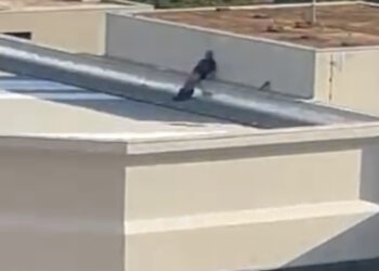 Cena constrangedora: vídeo mostra homem se masturbando no teto do Fórum da Capital