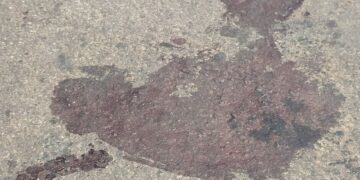 ‘Amigos’ discutem em bebedeira e homem é morto a facadas