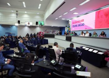 Mulheres são homenageadas com entrega da Medalha Legislativa “Celina Martins Jallad”