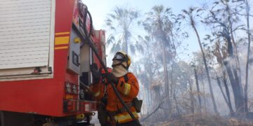 Governo MS já se prepara para combate aos incêndios florestais de 2025