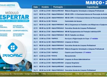Instituto PROFAC abre agenda de cursos gratuitos em março para capacitação em diversas áreas