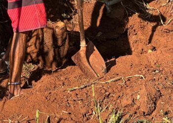 Polícia esclarece desaparecimento de jovem e encontra corpo enterrado em fazenda