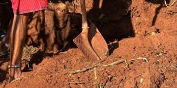 Polícia esclarece desaparecimento de jovem e encontra corpo enterrado em fazenda