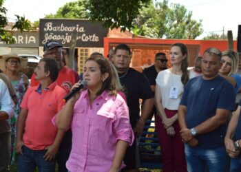 Todos em Ação: uma das maiores mobilizações cidadãs do Brasil tem 1ª edição de 2025 no Parque Lageado 