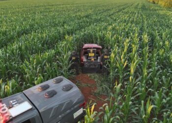 Fiat Pálio carregado com 103 kg de maconha é encontrado abandonado em Ponta Porã