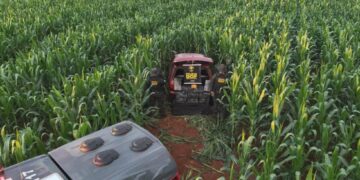 Fiat Pálio carregado com 103 kg de maconha é encontrado abandonado em Ponta Porã