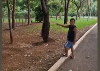 Menino de 6 anos morre vitima de acidente doméstico com fogareiro em MS