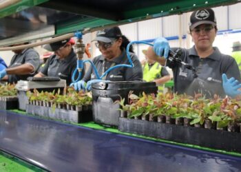 Governo de MS reafirma compromisso com igualdade de gênero e autonomia feminina no Dia Internacional da Mulher