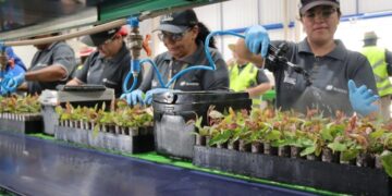 Governo de MS reafirma compromisso com igualdade de gênero e autonomia feminina no Dia Internacional da Mulher