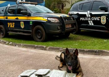 Ação conjunta da Polícia desmantela tráfico de drogas e prende casal em ônibus clandestino