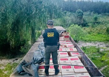 Operação do DOF apreende carreta com quase 30 mil pacotes de cigarros no MS