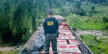 Operação do DOF apreende carreta com quase 30 mil pacotes de cigarros no MS