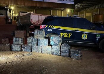 PRF apreende 452 kg de cocaína em caminhão na BR-262, em Terenos