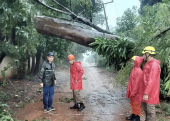 Cidade de Jardim decreta situação de emergência após temporal causar estragos