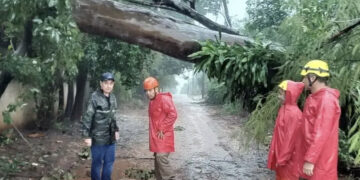 Cidade de Jardim decreta situação de emergência após temporal causar estragos