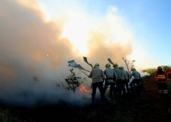 Governo antecipa edital para fortalecer combate a incêndios florestais