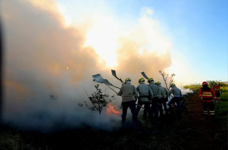 Governo antecipa edital para fortalecer combate a incêndios florestais