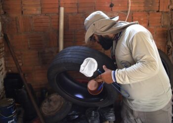 Mato Grosso do Sul reduz casos de dengue, mas enfrenta alta de chikungunya em 2025
