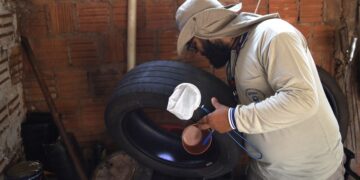 Mato Grosso do Sul reduz casos de dengue, mas enfrenta alta de chikungunya em 2025