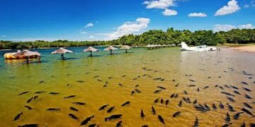Interditada, Praia da Figueira ganha ‘destaque’ nacional após peixes atacarem turistas 