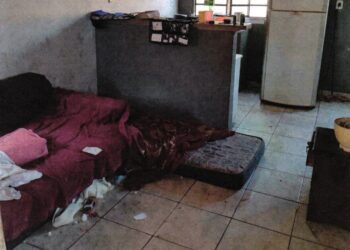 Conselho Tutelar relata dificuldades em localizar mãe usuária de drogas desde 2020