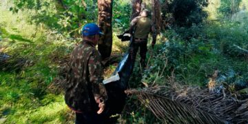 Corpo de vítima de ataque de onça é encontrado em área de mata em MS