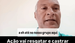 Antes hostilizado, agora reconhecido: Professor que alimenta gatos abandonados agradece apoio e doações