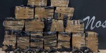 “Paiol do Crime”: polícia apreende 390 quilos de maconha, armas e munições em Campo Grande