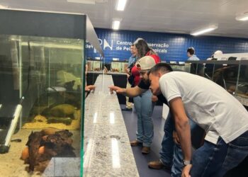 Bioparque Pantanal se consolida como referência em pesquisa e turismo científico