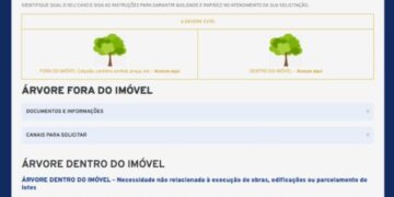 Campo Grande amplia atendimento para poda e remoção de árvores com novo sistema digital