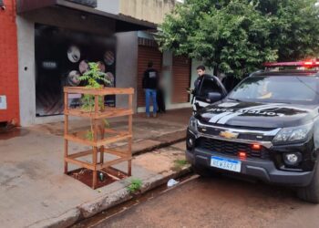 Operação “Ficta Persona” desarticula associação criminosa que aplicava golpes com documentos falsos em Campo Grande